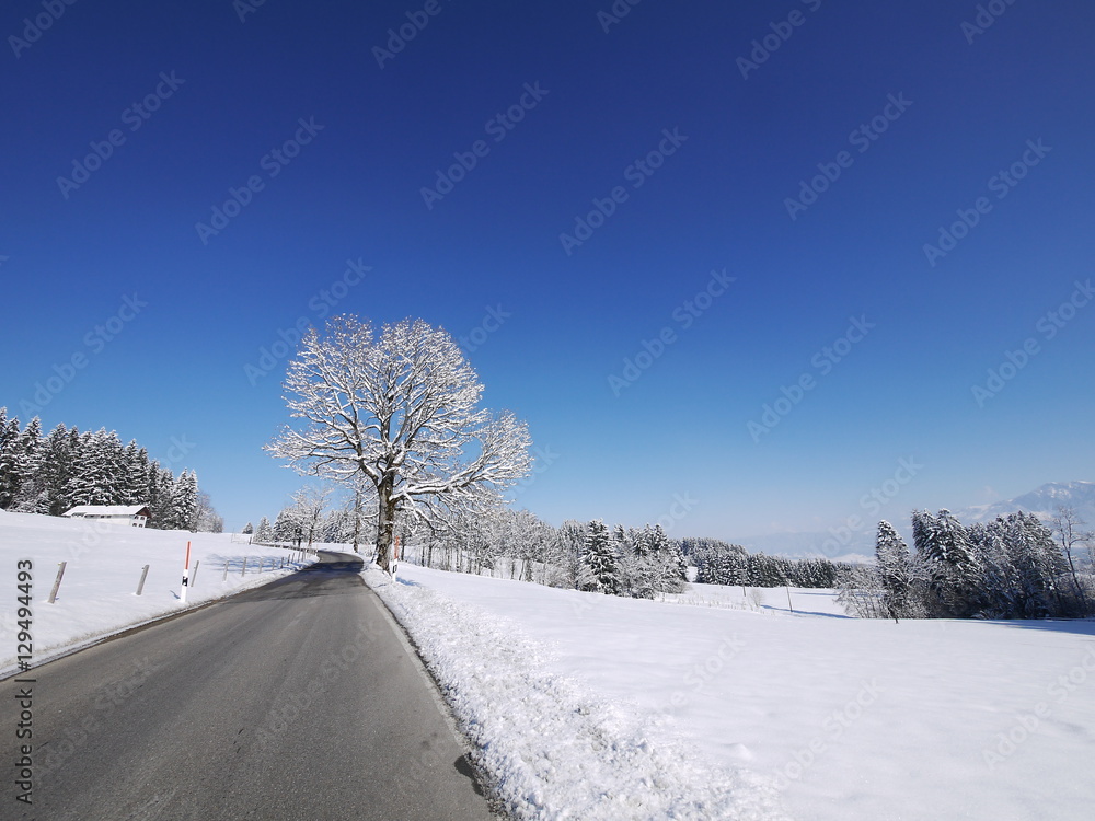 Obraz premium winter landscape