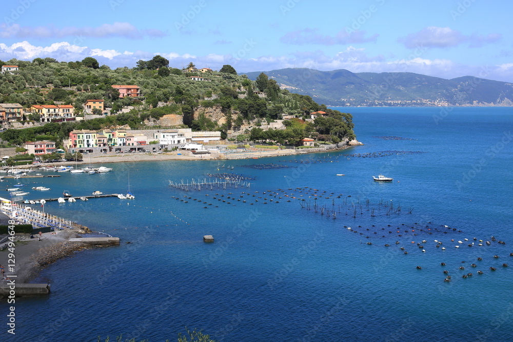 Mussels cultivation in Portovenere, Italy
