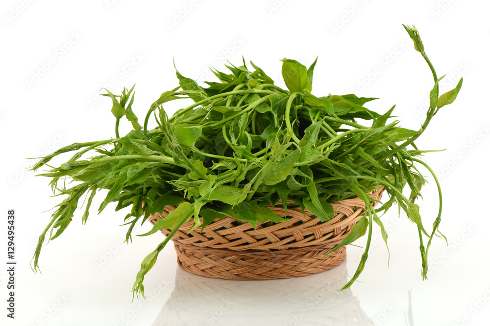 Gymnema inodorum Decne. Native vegetation of northern Thailand have medicinal properties.