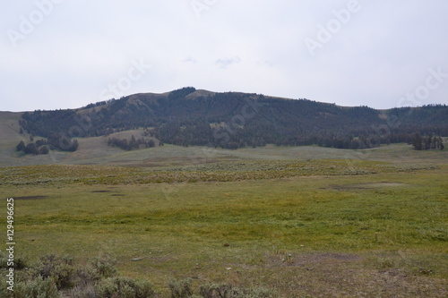 Grande prateria nel Parco Nazionale di Yellowstone in Wyoming USA