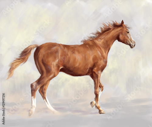 Chestnut horse on a light background