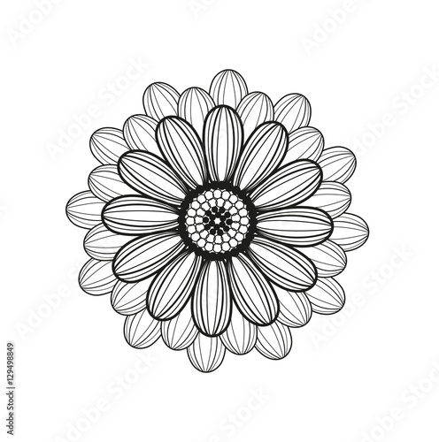 Vector illustration of black and white lotus flower, fiore di loto in bianco e nero vettoriale