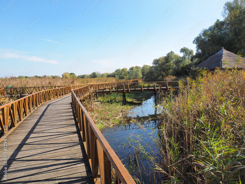 Fototapeta premium wooden bridge in Kopacvo Baranja