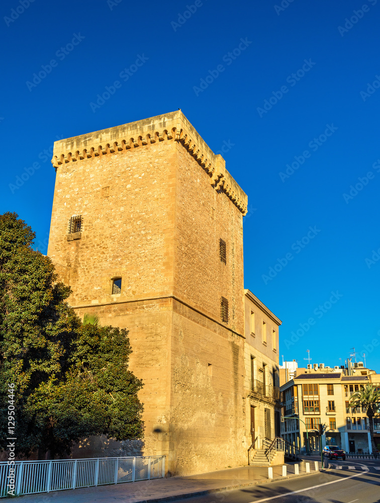 Castillo-Palacio de Altamira in Elche, Spain