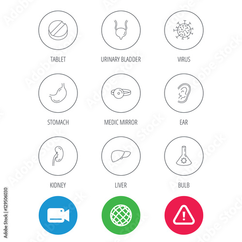 Virus, tablet and stomach organ icons. Liver, kidney and urinary bladder linear signs. Medic mirror, ear and lab bulb flat line icons. Video cam, hazard attention and internet globe icons. Vector