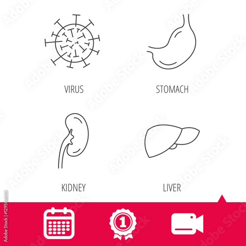Achievement and video cam signs. Virus, stomach and kidney icons. Liver linear sign. Calendar icon. Vector