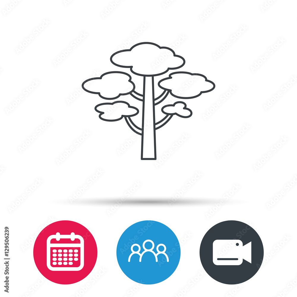 Pine tree icon. Forest wood sign. Nature environment symbol. Group of people, video cam and calendar icons. Vector Pine tree icon. Forest wood sign. Nature environment symbol. Group of people, video cam and calendar icons. Vector