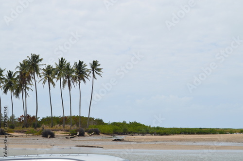 Ponta de pedra