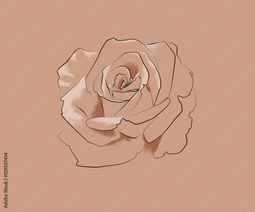 Fototapeta Tattoo art: Line drawing of a rose