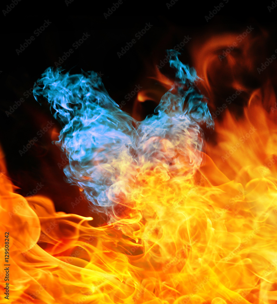 Fototapeta premium Fire heart
