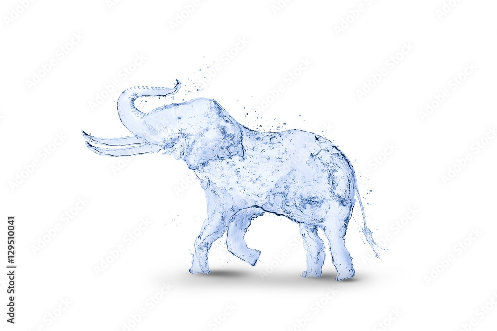 Fototapeta premium Elephant water splash 3D