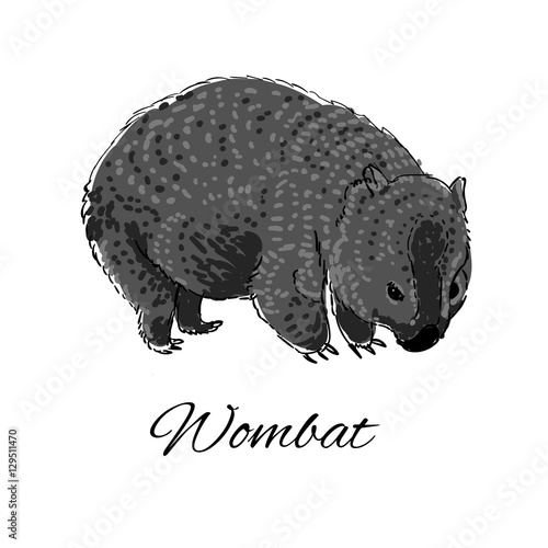 Wombat icon in doodle style. Logotype for business. Vector illustration.