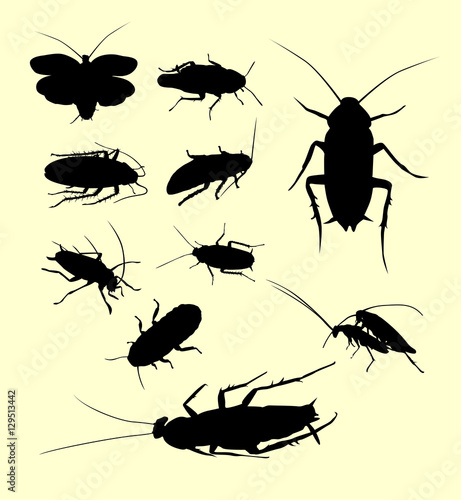 Cockroach insect animal silhouette. Good use for symbol, logo, web icon, mascot, sign, sticker, or any design you want. © ComicVector