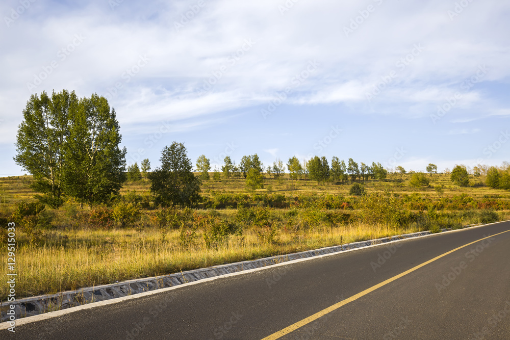 Naklejka premium asphalt road on grassland