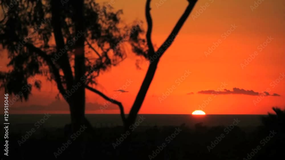Sunset Sunrise Horizon Tree Foreground Sunset Sunrise Horizon Tree Foreground