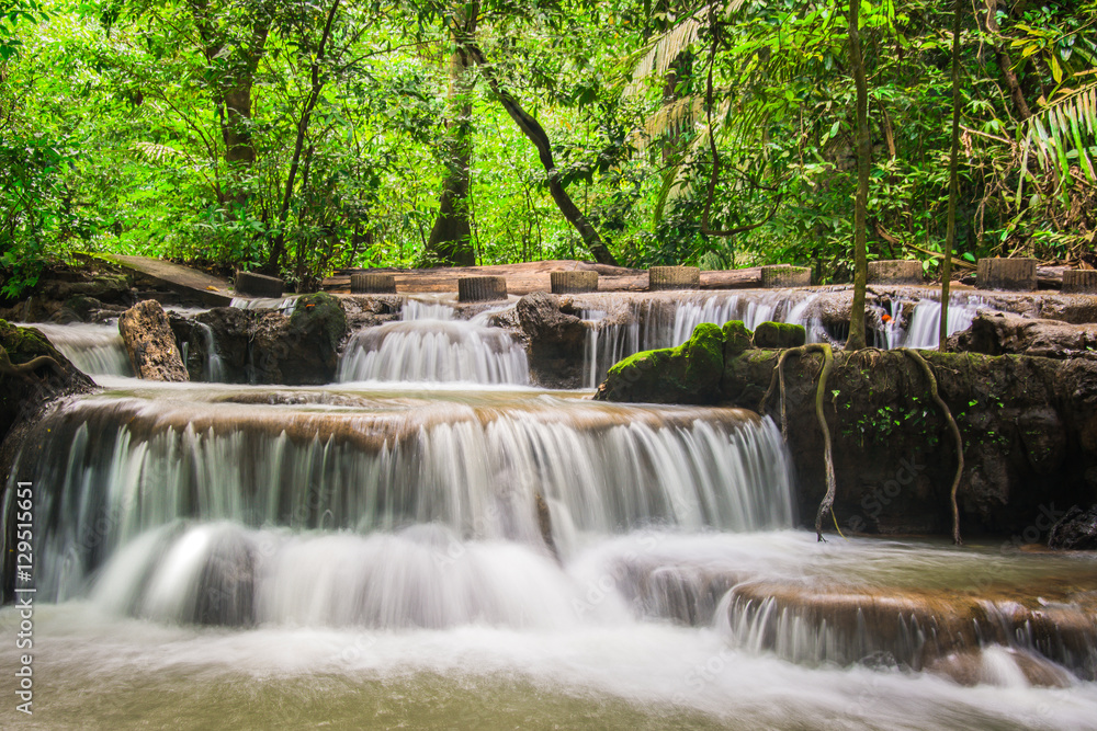 Obraz premium Waterfall in the forest