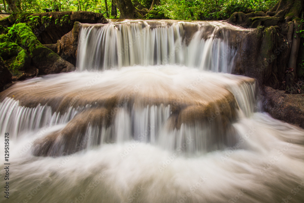 Obraz premium Waterfall in the forest