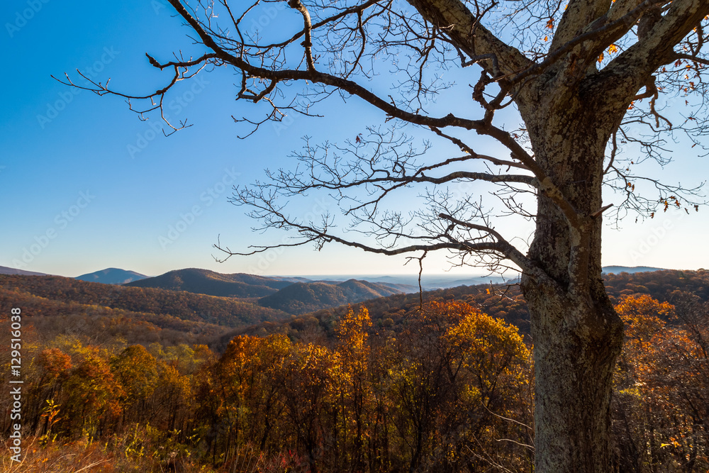 Morning at Thornton Hollow Overlook