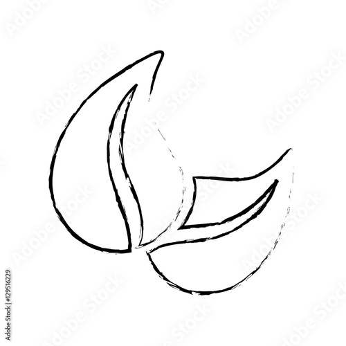 Leaf green ecology icon vector illustration graphic design