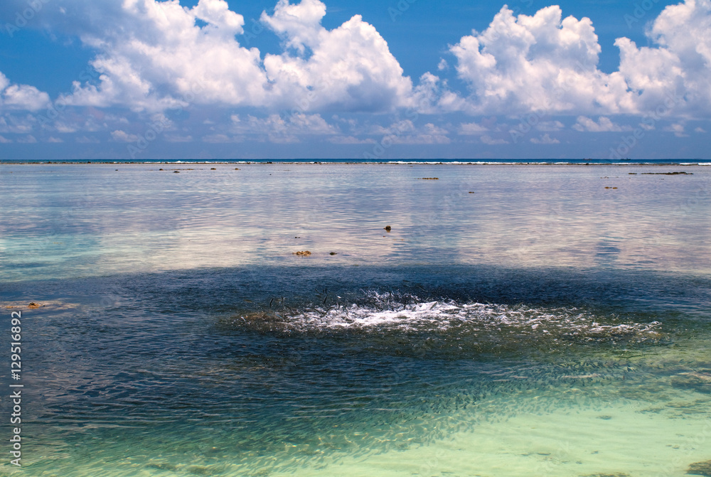 Fototapeta premium Anse Source d'Argent beach, La Digue Island, Seyshelles