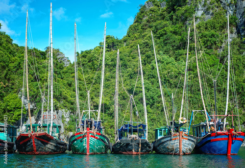 Fishing boats lined up in a fishing village in Ha Long Bay, Vietnam