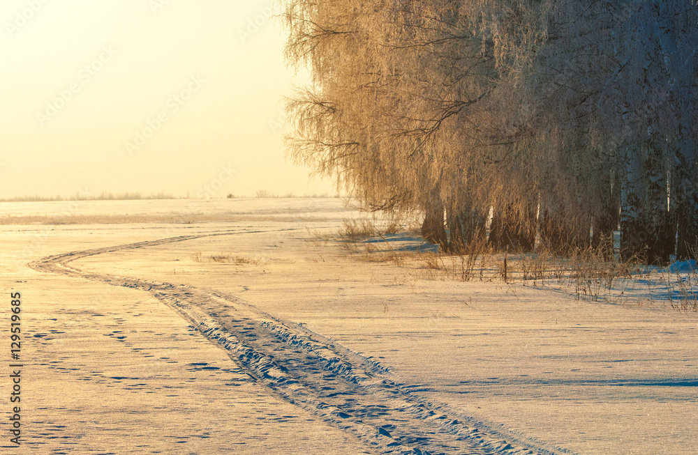 Fototapeta Zimowy krajobraz. Drzewa i krzewy z szronem. Woda w
