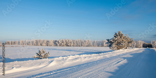Winter landscape. Trees in hoarfrost. Country road. Cold season. © na9179126124