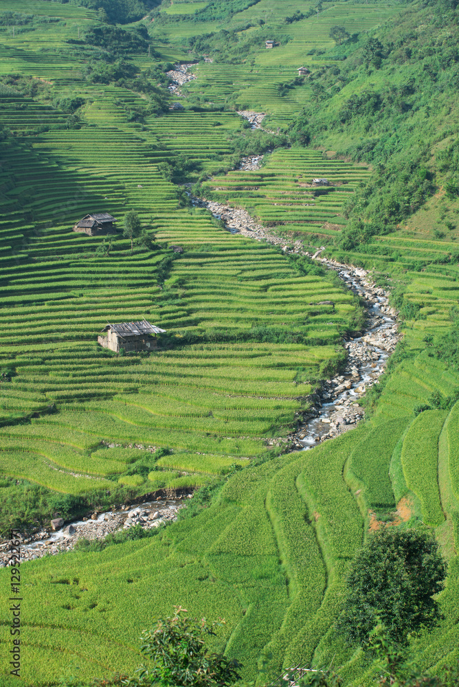 Beautiful landscape rice fields on terraced of Mu Cang Chai