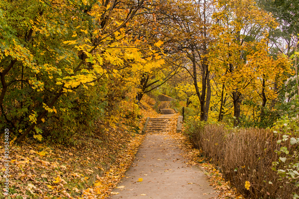 Fototapeta premium Budapest, Hungary, autumn, park