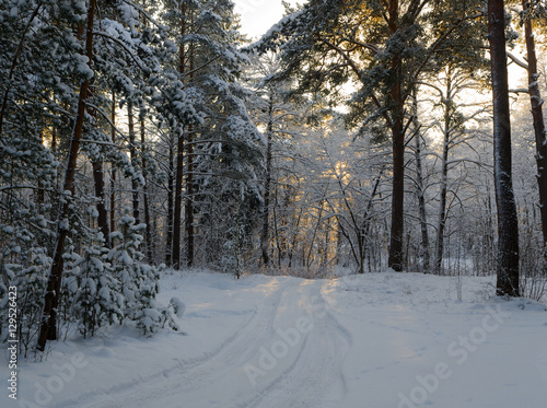 Small country road in winter with sunshine