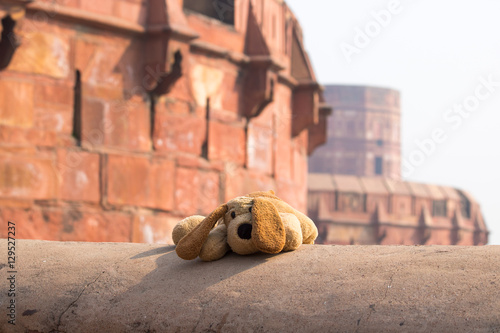 lost stuffed animal fatehpur sikri