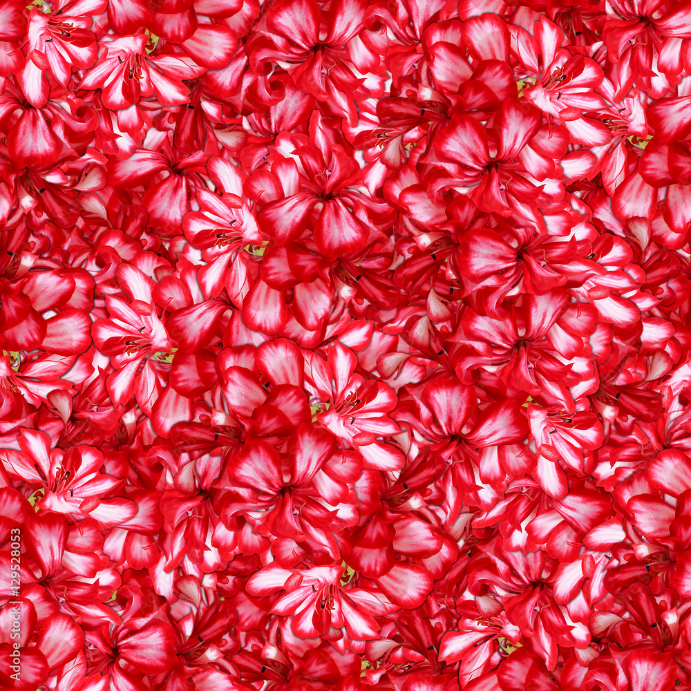 seamless background pattern texture made of flowers seamless background pattern texture made of flowers