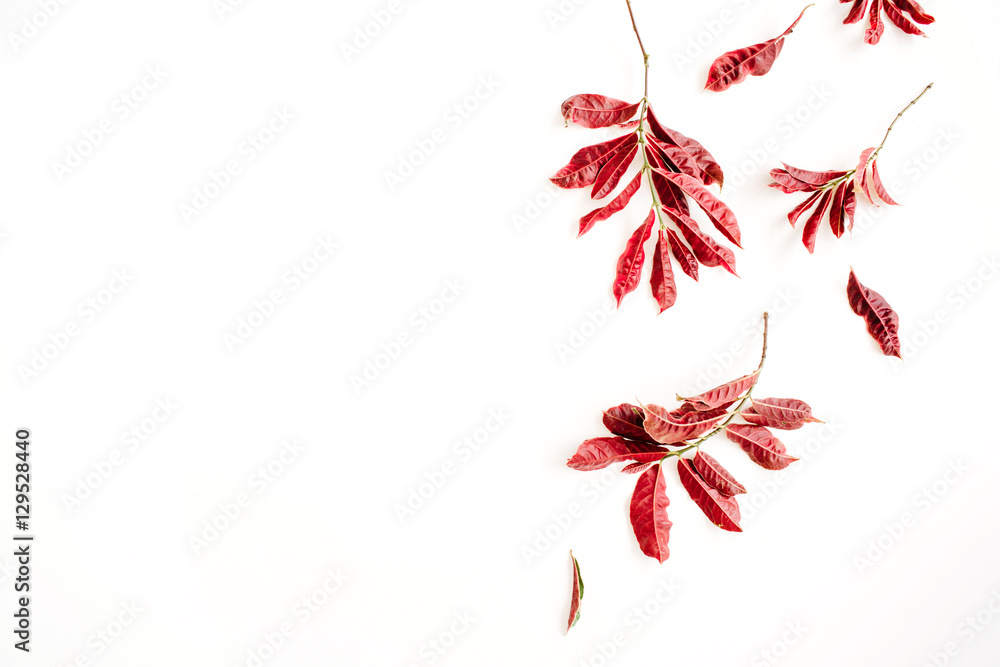 red leaves on white background. flat lay. red leaves on white background. flat lay.