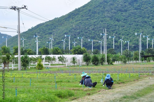 Farmers work outdoors on the farm. Wind Energy