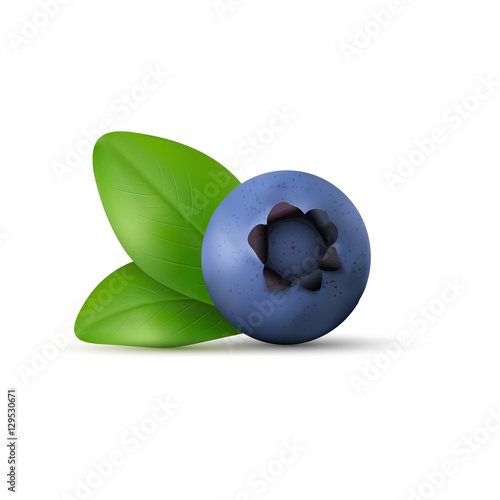 Blueberry isolated on white background