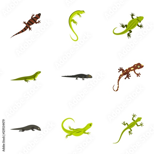 Iguana icons set. Flat illustration of 9 iguana vector icons for web
