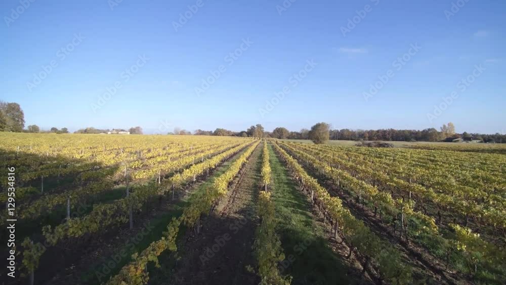 survol de vignobles en armagnac survol de vignobles en armagnac