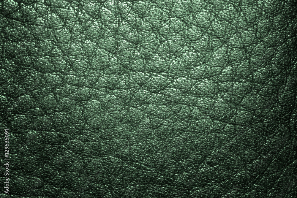 Green leather texture background for design with copy space for text or image. Pattern of leather that occurs natural. Green leather texture background for design with copy space for text or image. Pattern of leather that occurs natural.