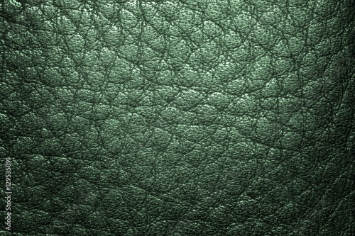 Green leather texture background for design with copy space for text or image. Pattern of leather that occurs natural.