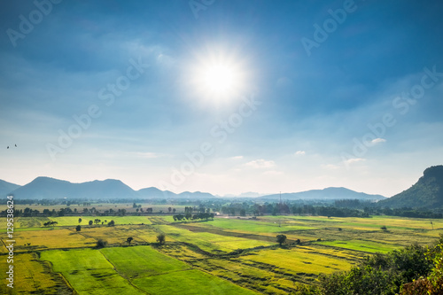 Rice field with mountain landscape