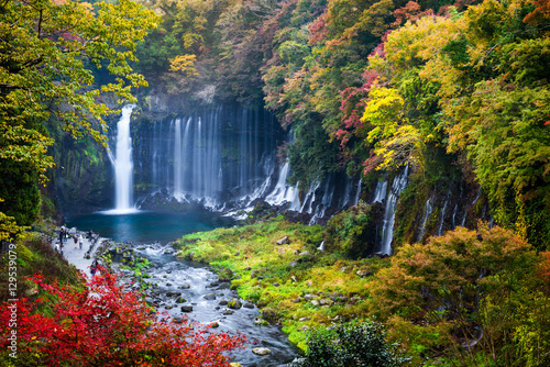 Autumn scene of Shiraito waterfall photo