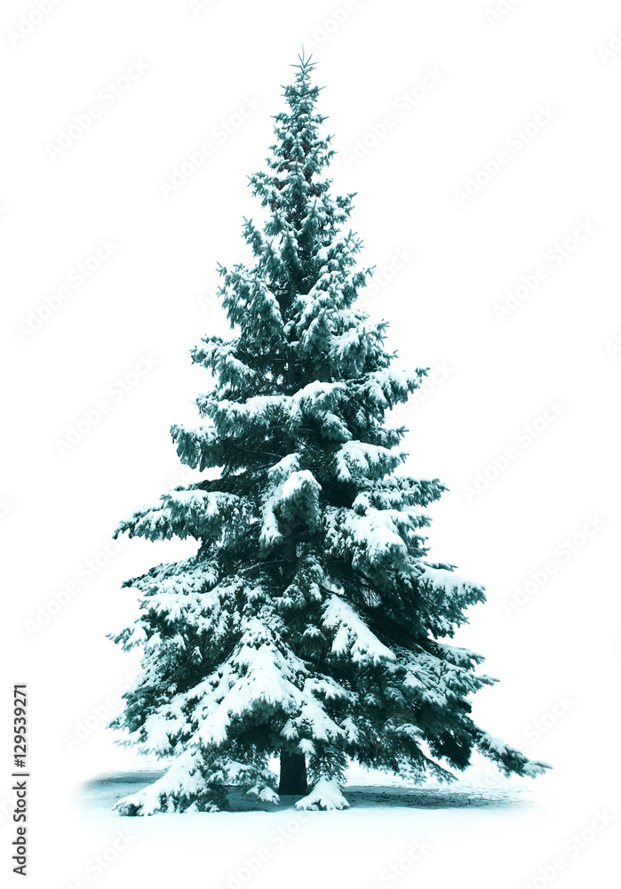 Fototapeta premium Drzewko świąteczne