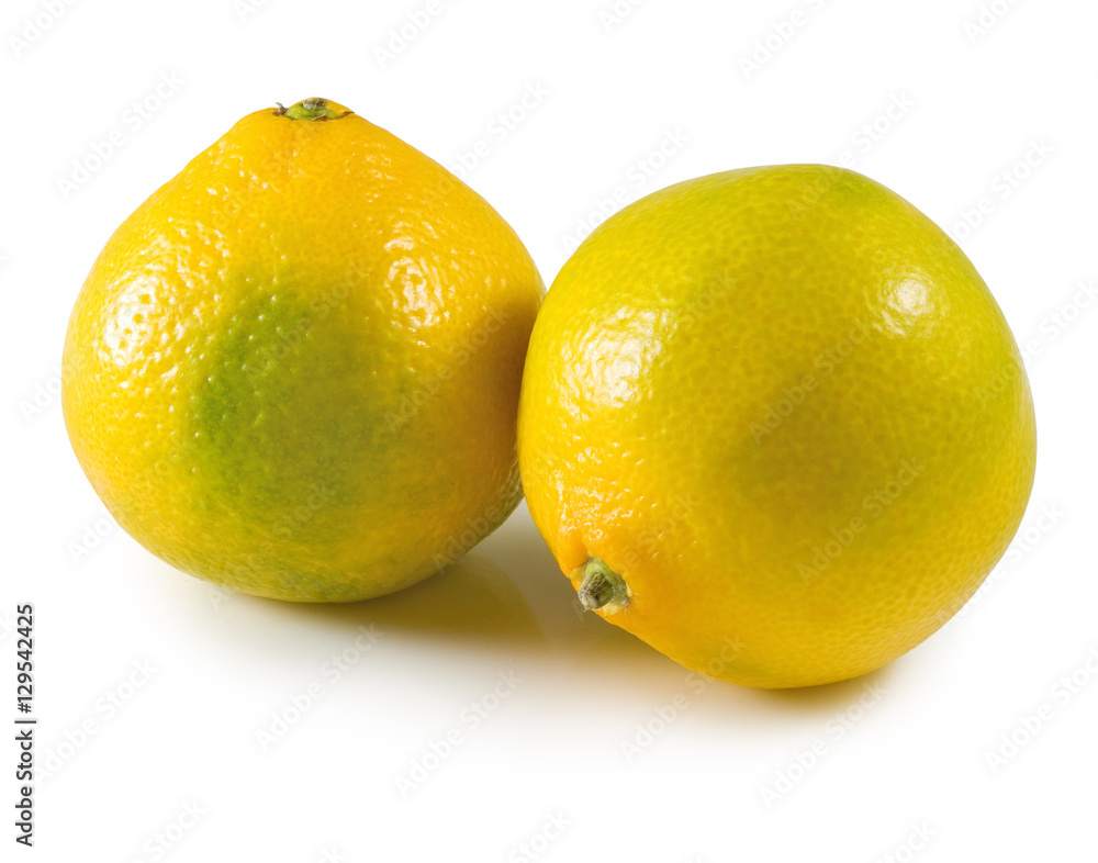 Isolated image of oranges on a white background Isolated image of oranges on a white background