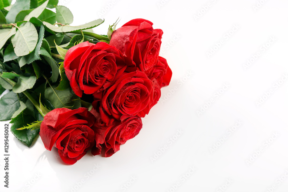 Fototapeta premium red roses bouquet on white background with copy space