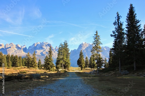 Sentiero tra le Dolomiti, Malga Ritorto, Trentino Alto Adige, Italia photo