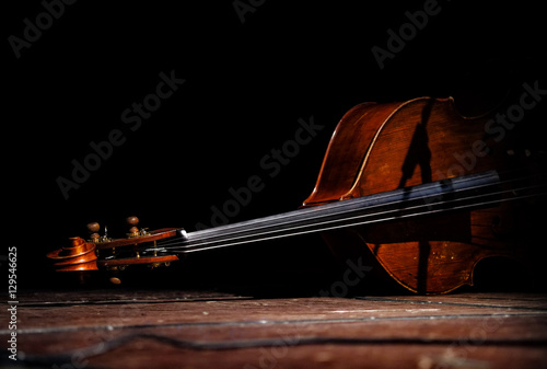 Double bass in shadow