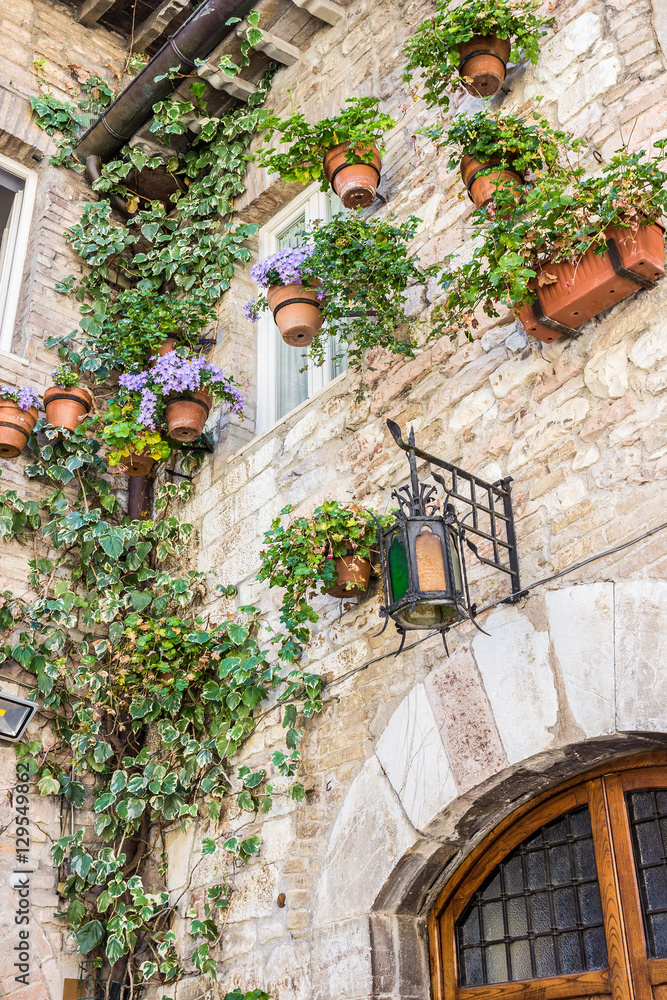 Stone mansion decorated with flowerpots and climber plants