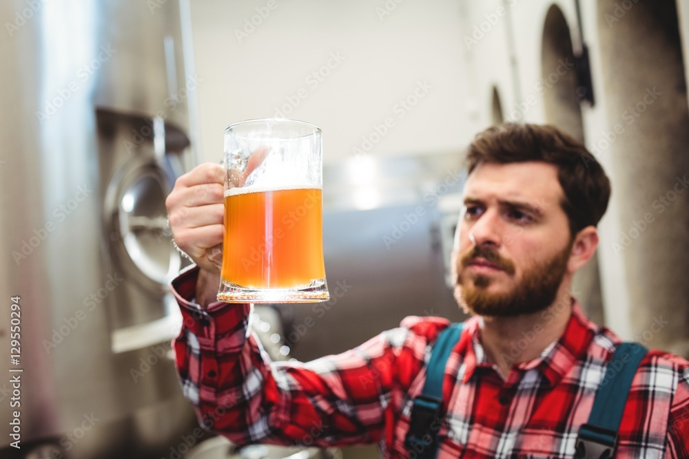 Manufacturer examining beer in jug at brewery Manufacturer examining beer in jug at brewery