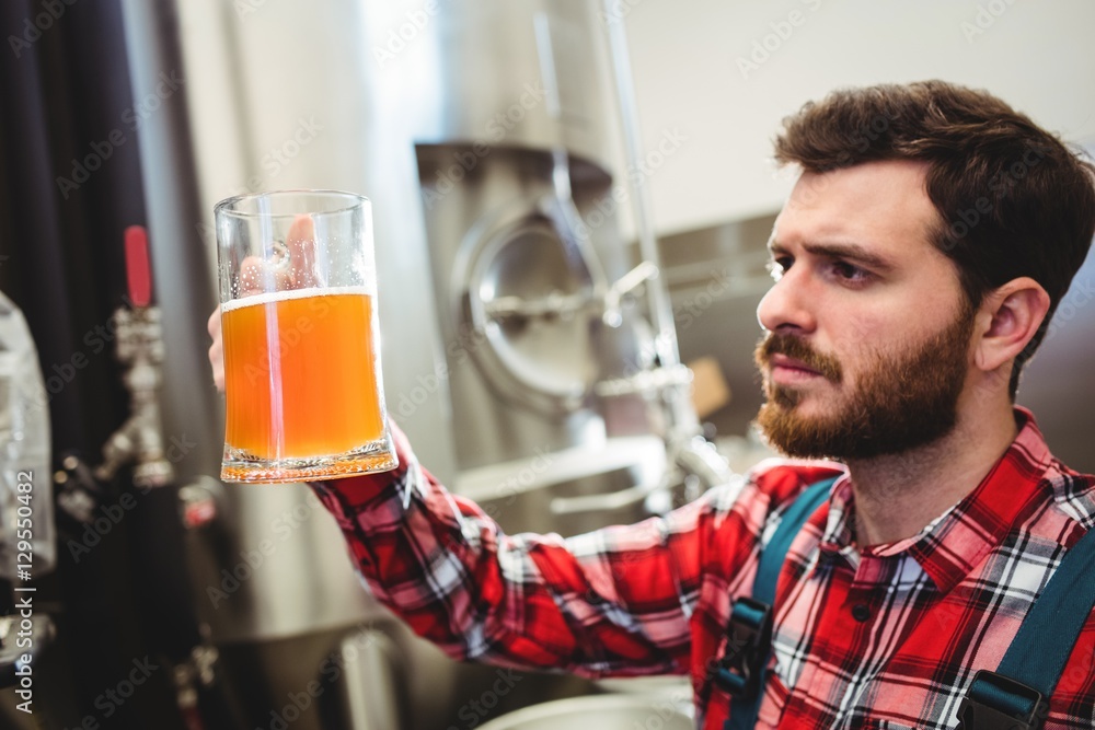 Manufacturer examining beer at brewery Manufacturer examining beer at brewery