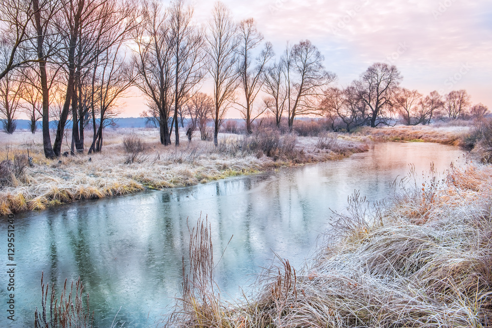 Obraz premium silhouettes of trees on the river bank. Yellow dry grass on the shore covered with the first frost, the beautiful sky with clouds. Beautiful landscape in late autumn, in winter early morning. 